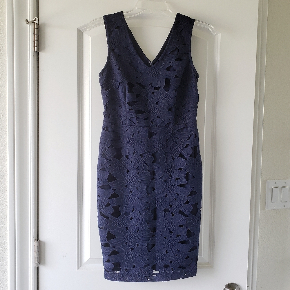 Banana Republic Lace Floral Dress 0P